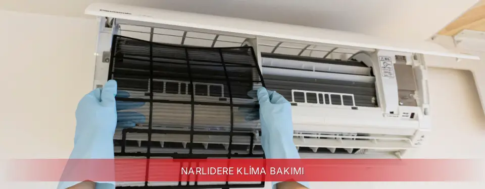 Narlıdere İlçemi Regal Klima Bakımı