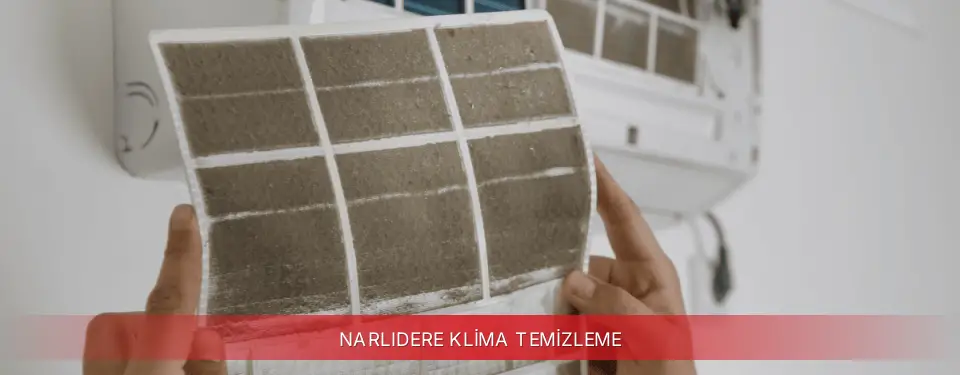 Narlıdere İlçemi Regal Klima Temizleme